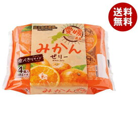 和歌山産業 蔵王高原農園 愛媛県産みかんゼリー 68g×4×12袋入×(2ケース)｜ 送料無料 お菓子 おやつ ゼリー みかん