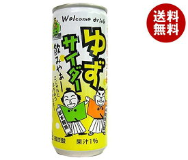 北川村ゆず王国 ゆずサイダー 250ml缶×30本入×(2ケース)｜ 送料無料 炭酸 柑橘 はちみつ