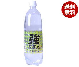 友桝飲料 強炭酸水 レモン(K) 1000mlペットボトル×15本入×(2ケース)｜ 送料無料 炭酸飲料 炭酸水 ソーダ PET 割り材 檸檬 れもん