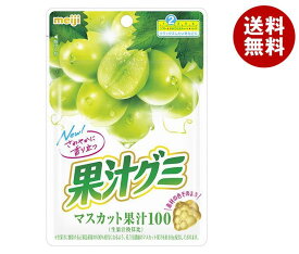明治 果汁グミ マスカット 54g×10袋入｜ 送料無料 お菓子 グミ 袋 マスカット