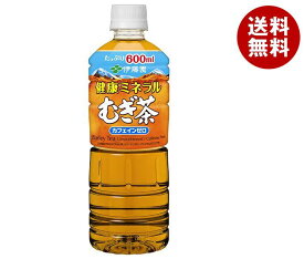 伊藤園 健康ミネラルむぎ茶 600mlペットボトル×24本入×(2ケース)｜ 送料無料 麦茶 PET お茶 カフェインレス ビタミン