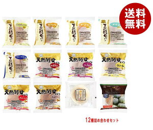 fCvX VRyp 12lߍ킹Zbg 12b  D-PLUS ڂ `R p N[p W