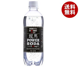 日本ビール 龍馬パワーソーダ 500mlペットボトル×24本入×(2ケース)｜ 送料無料 炭酸飲料 割材 ソーダ水