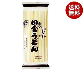 五木食品 業務用 田舎うどん 500g×20袋入×(2ケース)｜ 送料無料 うどん 乾麺 袋麺 ウドン 五木