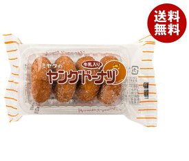 宮田製菓 ヤングドーナツ 4個×20袋入×(2ケース)｜ 送料無料 お菓子 ドーナツ おやつ おかし