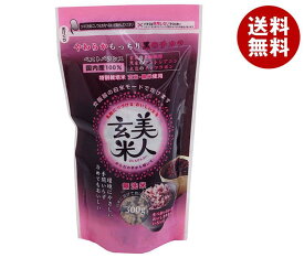 オクモト 美人玄米(国産) 300g×20袋入×(2ケース)｜ 送料無料 米 玄米 ごはん ご飯 無洗米 国内産100％