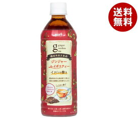 サーフビバレッジ ジンジャールイボスティー 500mlペットボトル×24本入｜ 送料無料 お茶飲料 清涼飲料水 ブレンド茶 PET