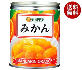 楽園果実 みかん 350g×24個入｜ 送料無料 みかん オレンジ ミカン 果実 果物 フルーツ