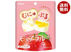 カバヤ ピュアラルグミ りんご 58g×8個入×(2ケース)｜ 送料無料 お菓子 グミ 袋 林檎 リンゴ PURERAL