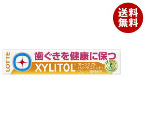 be LVg[ I[eNgK VgX~gyیpHi ہz 21g(14)×20b  یpHi  gNz َq K