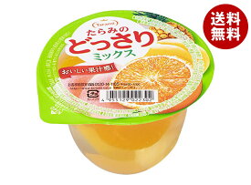 [ポイント5倍！6/11(火)1時59分まで全品対象エントリー&購入]たらみ たらみのどっさり ミックスゼリー 230g×24(6×4)個入×(2ケース)｜ 送料無料 ゼリー フルーツ お菓子 おやつ