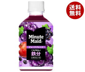 コカコーラ ミニッツメイド グレープブレンド 鉄分 280mlペットボトル×24本入｜ 送料無料 果汁飲料 ぶどう 鉄分