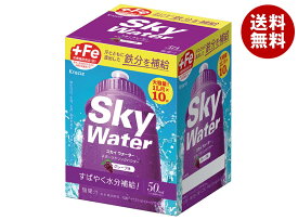 クラシエフーズ スカイウォーター グレープ味 1L用 (14.5g×2×5袋)×1箱入×2箱｜ 送料無料 熱中症対策 カルシウム スポーツドリンク 粉末