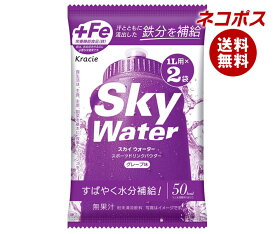 【全国送料無料】【ネコポス】クラシエフーズ スカイウォーター グレープ味 1L用 (14.5g×2)×5袋入｜ 熱中症対策 カルシウム スポーツドリンク 粉末