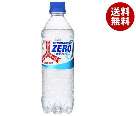 アサヒ飲料 三ツ矢サイダー ZERO(ゼロ) 500mlペットボトル×24本入×(2ケース)｜ 送料無料 ノンカロリー炭酸 カロリーゼロ STRONG