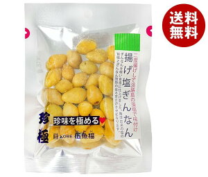 [|Cg5{ISiΏۃGg[&w]ދ t̒ gȂ 22g×10ܓb  ibc  ܂ َq