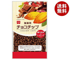 共立食品 製菓用 チョコチップ 160g×6袋入×(2ケース)｜ 送料無料 菓子材料 製菓材料 トッピング チョコレート