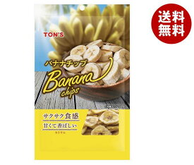 東洋ナッツ トン バナナチップ 100g×10袋入×(2ケース)｜ 送料無料 袋 おつまみ 珍味 バナナチップス