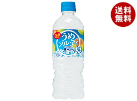 サントリー 天然水うめソルティ 540mlペットボトル×24本入｜ 送料無料 梅 塩 熱中症対策 冷凍兼用 氷結