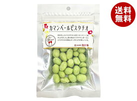 伍魚福 カマンベールピスタチオ 30g×10袋入｜ 送料無料 ピスタチオ ナッツ チーズ カマンベール おつまみ