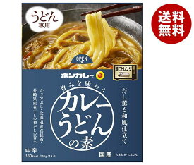 大塚食品 ボンカレー カレーうどんの素 だし薫る和風仕立て 210g×30個入×(2ケース)｜ 送料無料 食品 カレールー レトルトカレー カレーうどんの素