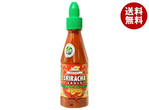 �j�V�L�����o�[ �I�[�K�j�b�N �V���`���[�\�[�X 250g�y�b�g�{�g��×12�{���b �������� ������ �y�b�g�{�g�� �\�[�X �`���\�[�X �I�[�K�j�b�N