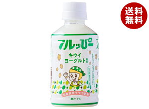 サンA フルッぴー キウイ 240mlペットボトル×24本入×(2ケース)| 送料無料 果実飲料 キウイ ヨーグルト PET