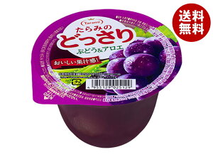 [|Cg5{ISiΏۃGg[&w] ݂̂ǂ Ԃǂ&AG 230g×24(6×4)b  [[ t[c َq  O[v