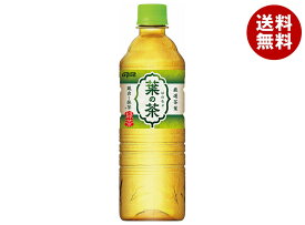 ダイドー 厳選茶葉 葉の茶 525mlペットボトル×24本入×(2ケース)｜ 送料無料 お茶飲料 緑茶 抹茶 PET