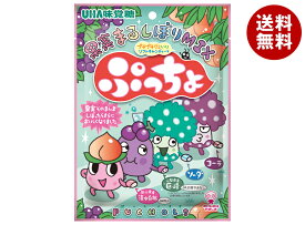 UHA味覚糖 ぷっちょ袋 4種アソート 88g×6個入×(2ケース)｜ 送料無料 お菓子 ソフトキャンディ アソート フルーツ