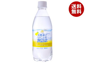 xif _ˋn VRłY_  500mlybg{g×24{×(2P[X)b  Y_ VR \[_   Xp[NO