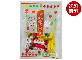 カクダイ製菓 ラムネ菓子 92g×10袋入 メーカー 問屋直送｜ 送料無料 お菓子 ラムネ 駄菓子