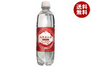 北斗 九州あわ水 炭酸水 500mlペットボトル×24本入｜ 送料無料 炭酸 スパークリング ソーダ 割り材