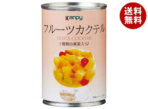 Js[ t[cJNe 420g×24b  ʋl Â t[c ʎ 