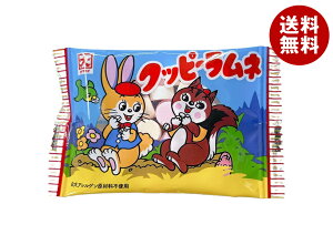 JN_C Nbs[l 11g×60(30×2)ܓ×(2P[X)b  َq l ʉَq