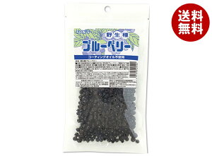 東洋ナッツ 野生種 ブルーベリー 110g×10袋入×(2ケース)| 送料無料 ドライ 食物繊維 野生種