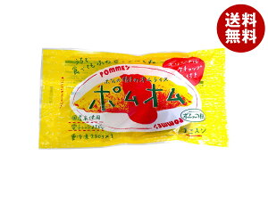 |t[h |̎̃ICX |I 1H×12ܓ Ⓚib  ⓀHi ICX |̎