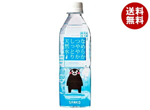 TR[ Ȃ߂炩₩ƂVR 500mlybg{g×24{b   z ybg{g