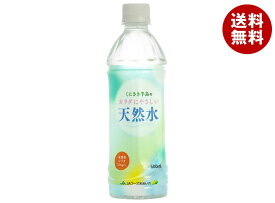 JAフーズ大分 くにさき半島のカラダにやさしい天然水 500mlペットボトル×24本入｜ 送料無料 水 ウォーター PET ペットボトル 天然水