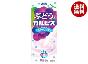 ATq Ԃǂ&JsX 250mlpbN×24{×(2P[X)b  ʏ` 