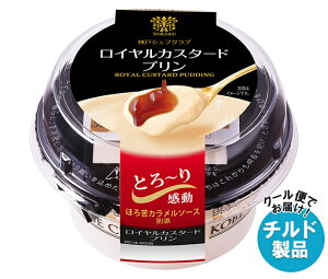 g[N _˃VFtNu CJX^[hv (105g+6g)×6 `h ①ib  JX^[hv v XC[c XEB[c َq