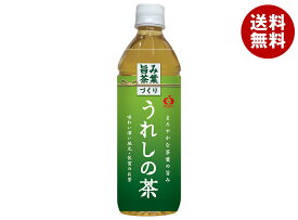 JAビバレッジ佐賀 うれしの茶 500mlペットボトル×24本入×(2ケース)｜ 送料無料 茶飲料 緑茶 PET
