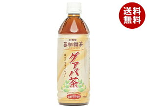 ���{��� �O�@�o�� 500ml�y�b�g�{�g��×24�{��×(2�P�[�X)�b �������� ������ ���N�� PET ���� �r�^�~��C