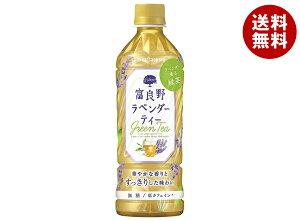 �|�b�J�T�b�|�� �x�ǖ색�x���_�[�e�B�[ 500ml�y�b�g�{�g��×24�{���b �������� ���� ������ �Β� PET