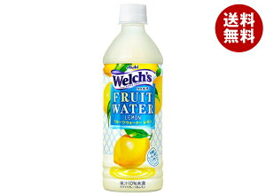 ATq Welch's(EF`) FRUIT WATER Lemon(t[cEH[^[) 500mlybg{g×24{b   EG ʏ`