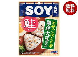 ͂t[Y SOYH  23g×10ܓb  ʐHi т̑f SOY 