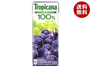 L gsJ[i 100% O[v 250mlpbN×24{b  ʏ`100% O[v ZkҌ