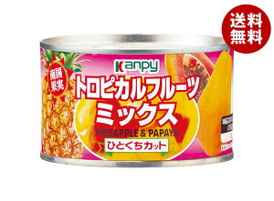 カンピー トロピカルフルーツミックス 227g缶×24個入×(2ケース)| 送料無料 缶詰 フルーツ 果実 くだもの ミックス