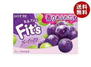 be Fitfs O[v~bNX 12×10b  َq K tBbc Ԃǂ  uhE