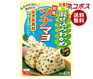 lR|X ۔ ݂킩 aci} 29g×10ܓb S ʐHi  ӂ肩 ݂͂̑f